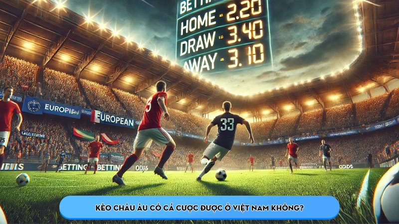 Kèo châu Âu là gì? So sánh giữa các loại bộ môn thể thao - Hình số 3 Kèo châu âu có cá cược được ở Việt Nam không?